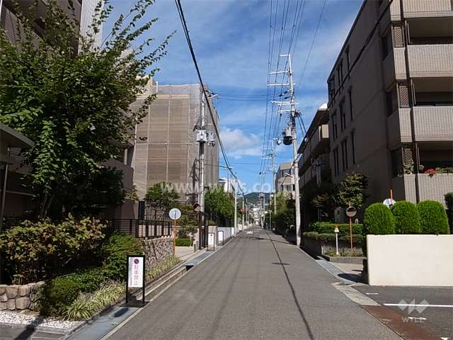 敷地東側の前面道路。周辺はマンションと一戸建てが混在する静かな住宅地です。