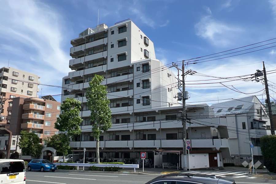 レインボー石神井公園マンションの外観（北側から）
