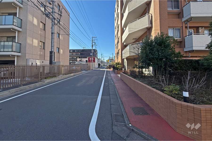 敷地の南東側前面道路（北東側から）