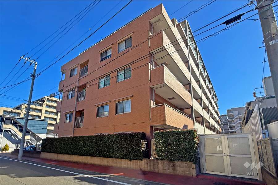 クレアシティ練馬高野台の外観（西側から）