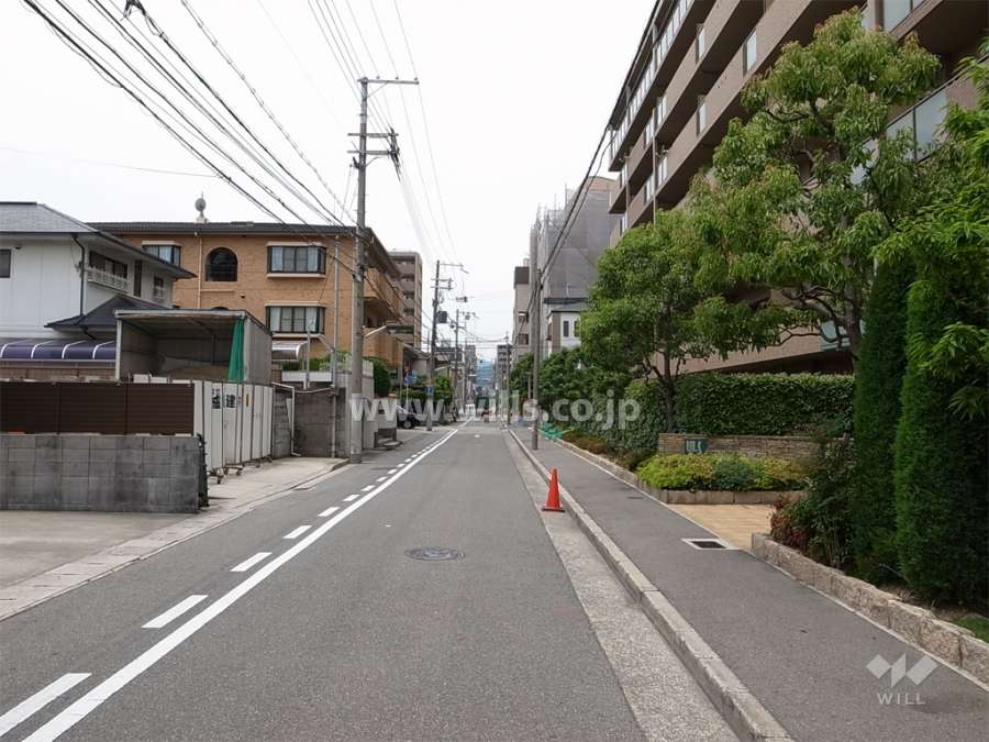 敷地南側の前面道路。周辺は区画の整った住宅地です。