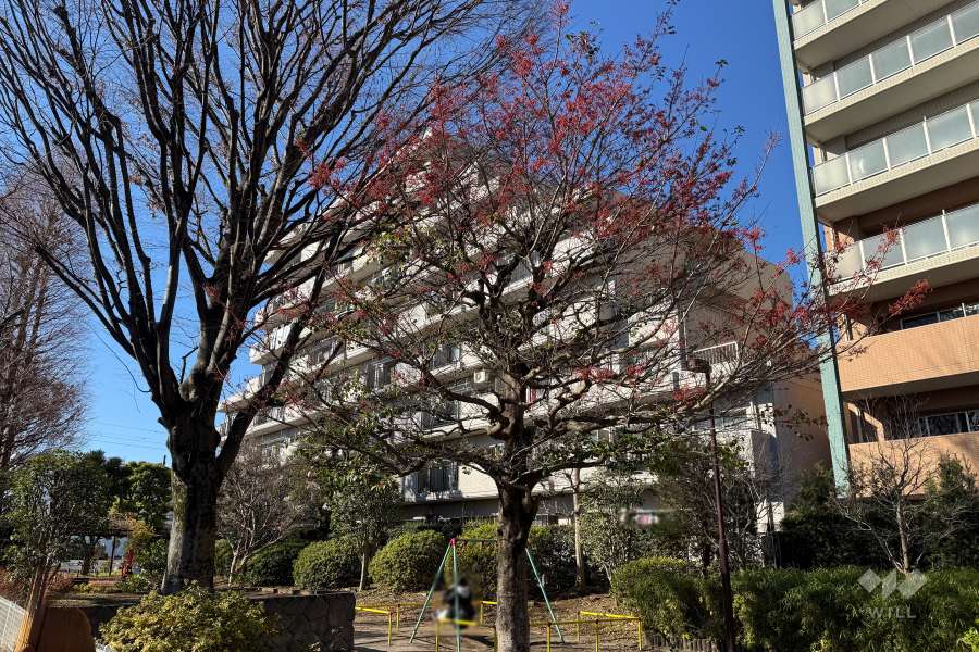 石神井公園パークハイツの外観（東側から）
