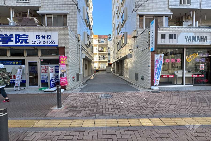 敷地の東側前面道路（南側から）