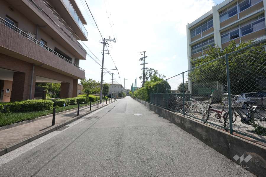 敷地西側の前面道路（北側から）