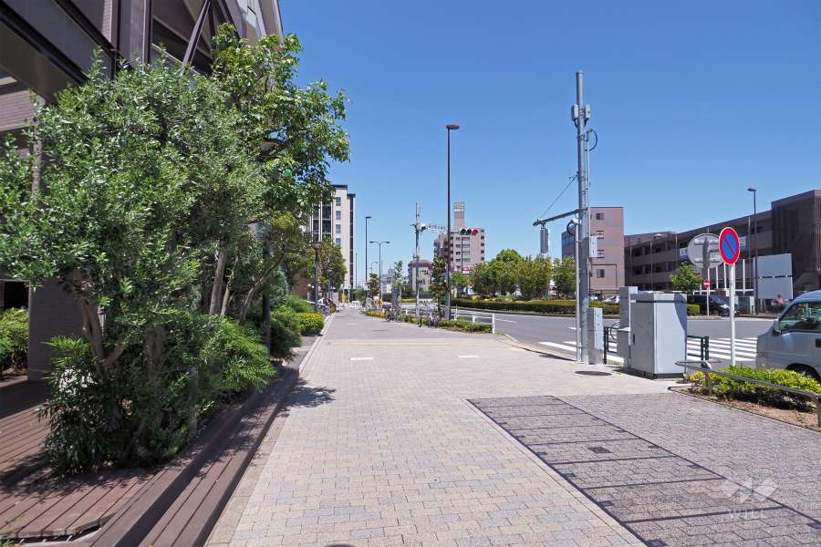 敷地南側の前面道路（西側から）