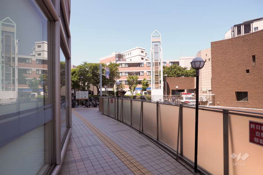 敷地東側の前面道路（南側から）