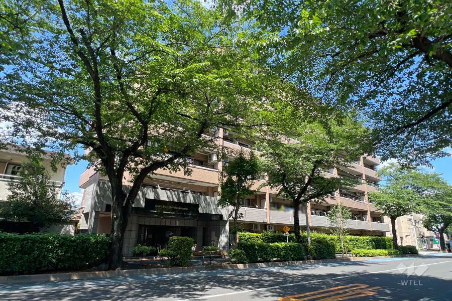 ライオンズヴィアーレ練馬春日町の外観（南西側から）　