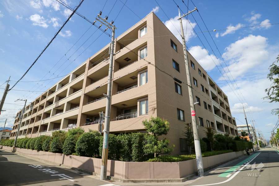 ステイツ甲子園グランプレイスの外観（南側から）