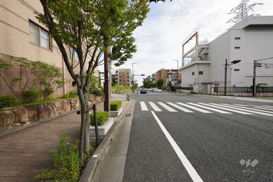 敷地西側の前面道路（北側から）