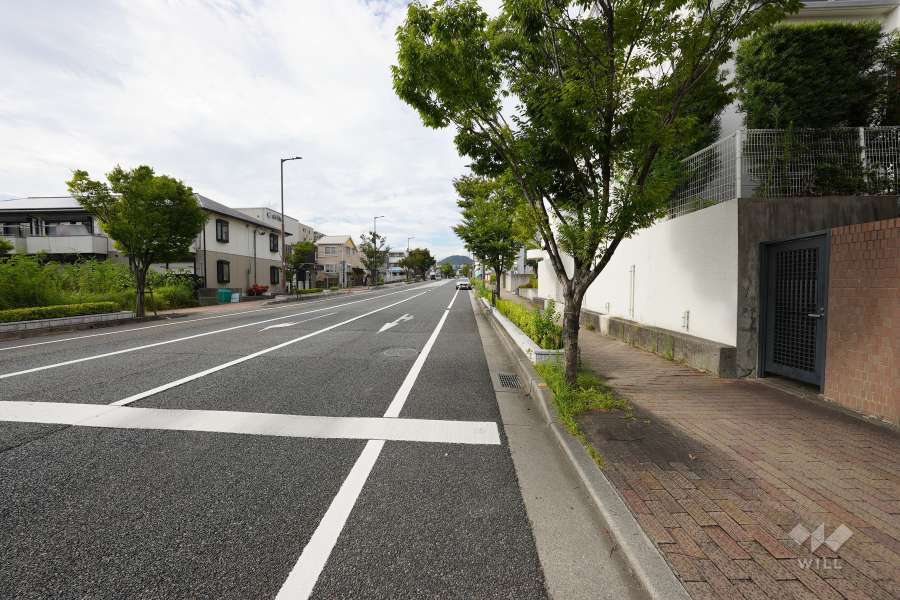 敷地西側の前面道路（南側から）