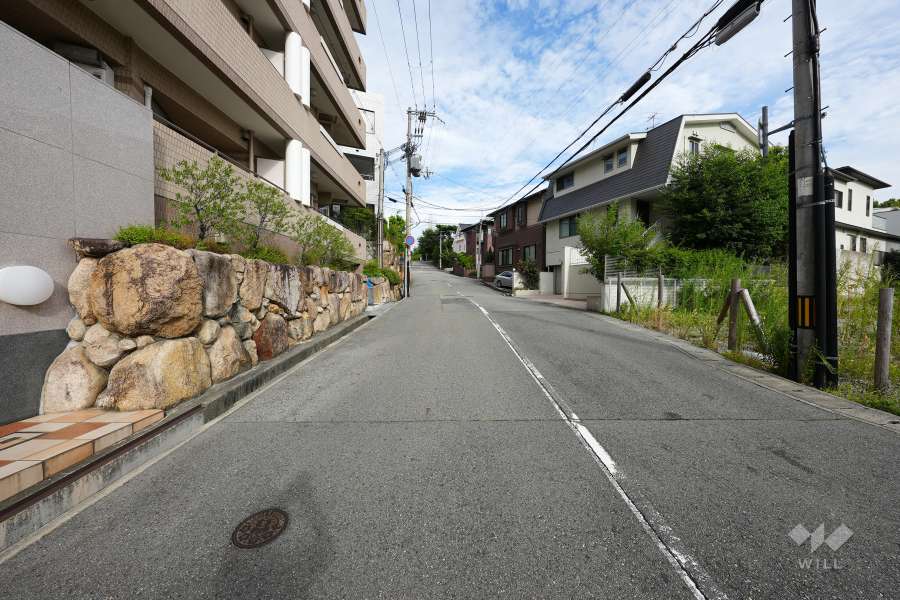 敷地南側の前面道路（西側から）
