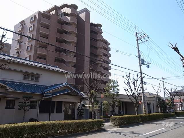 イトーピア香櫨園酒蔵通りの外観（北東側から）　敷地北側は街路樹がきれいな通りです。