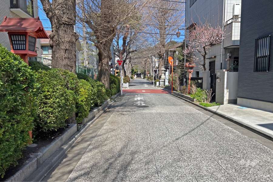 敷地の東側前面道路（南側から）