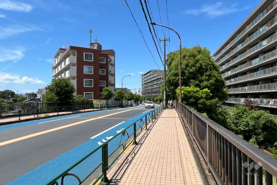敷地の南西側前面道路（南東側から）