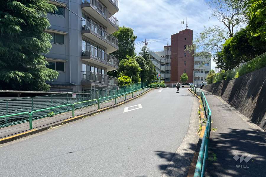 敷地の西側前面道路（北側から）