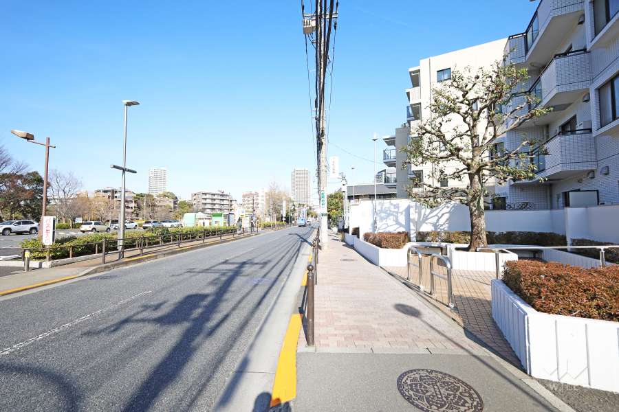 敷地西側の前面道路（南側から）