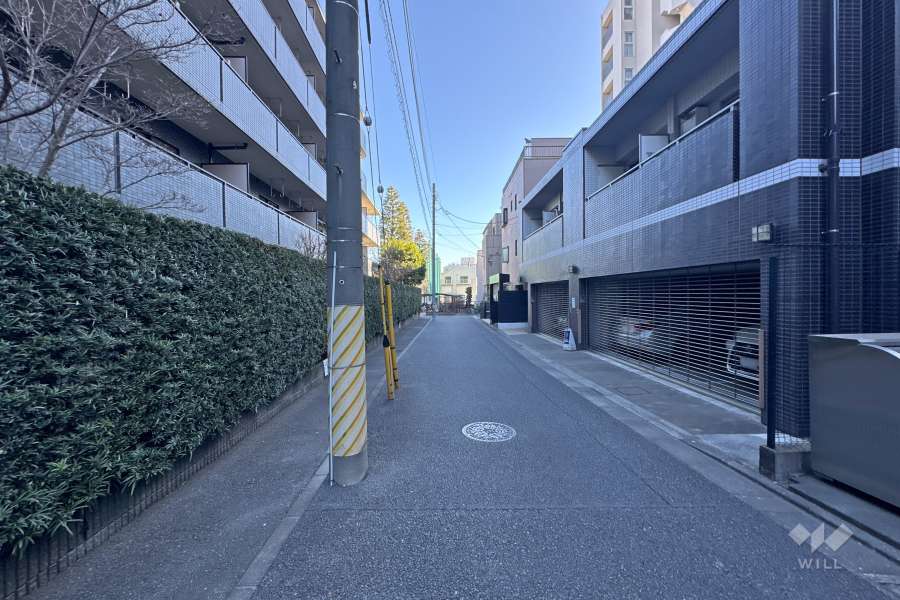 敷地の北側前面道路（西側から）