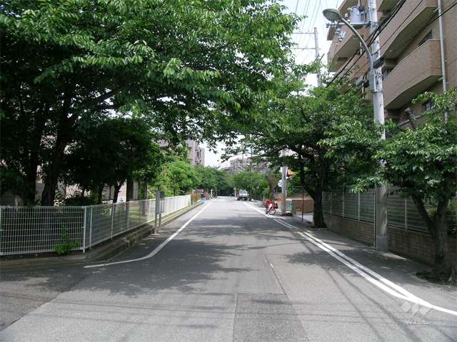 街路樹がきれいな敷地西側の通り