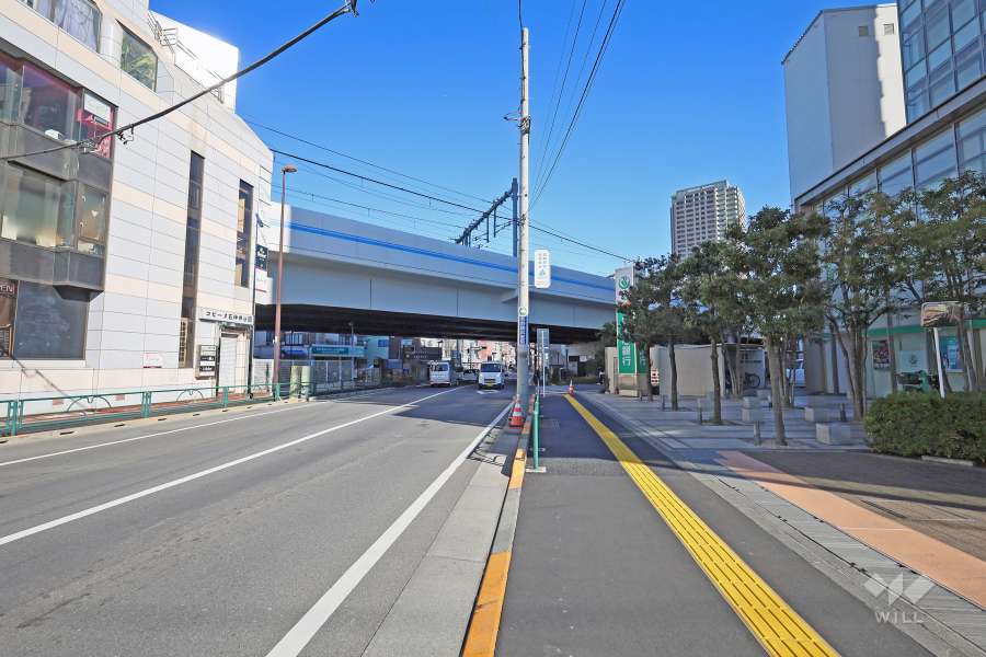 敷地北側の前面道路（西側から）