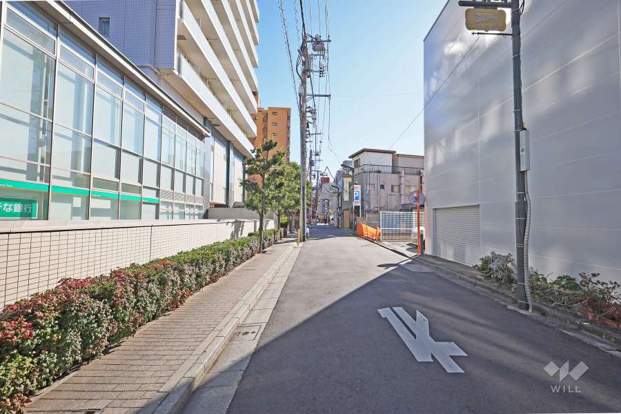 敷地西側の前面道路（北側から）