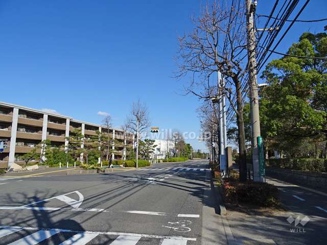 敷地南側の前面道路（西側から）