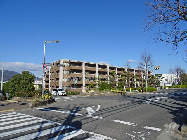 セレッソコート芦屋中央公園の遠景