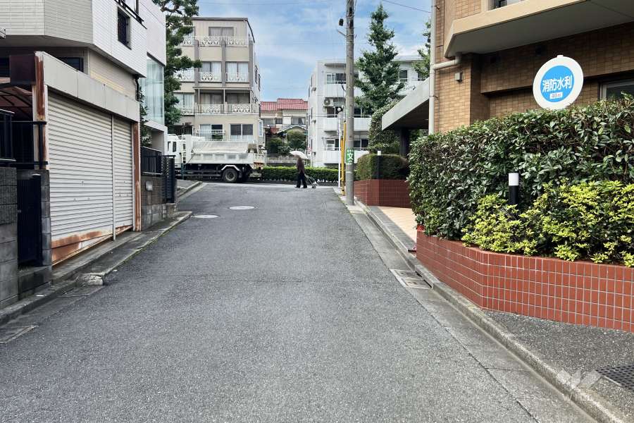 敷地の西側前面道路（南側から）