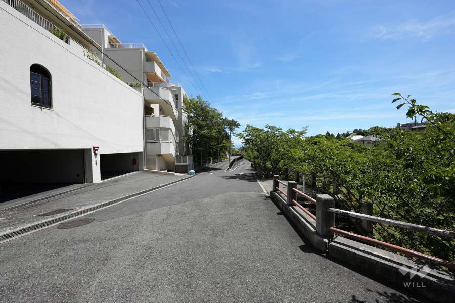 敷地南西側の前面道路（北側から）