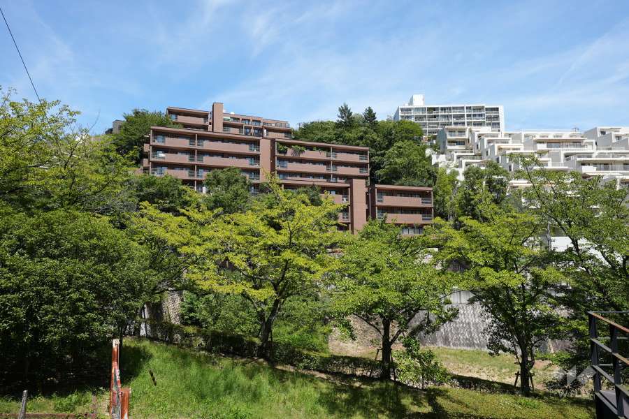 デ・リードヴィンテージ芦屋川山手の遠景。周辺は川や緑が広がった自然豊かな環境です。