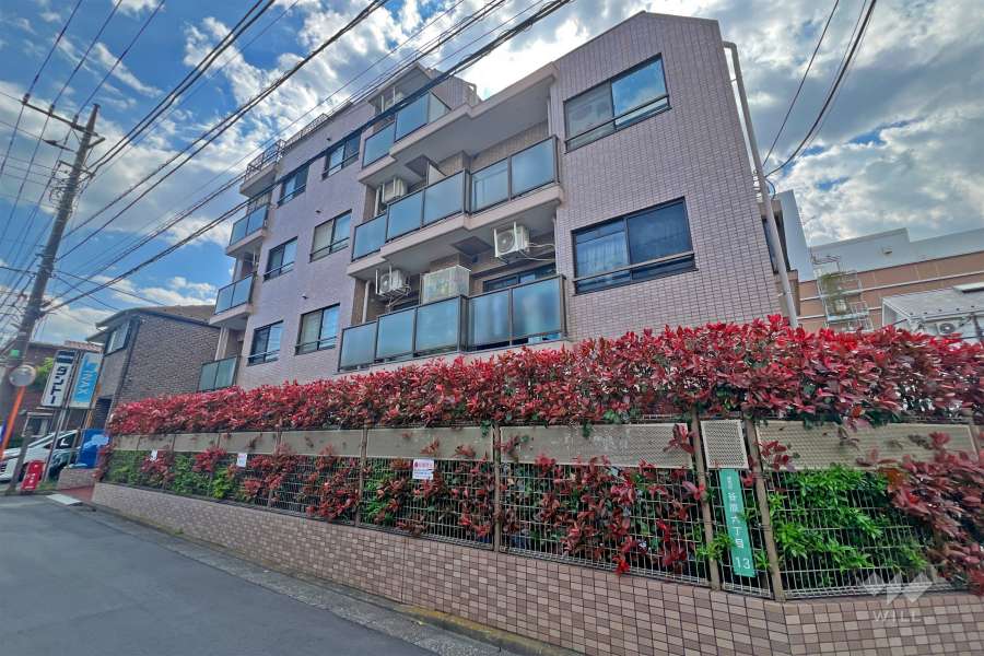 キャニオンコープ石神井公園の外観（東側から）