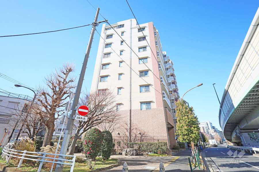 シーズガーデン石神井公園の外観（東側から）