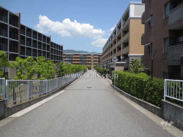 敷地西側の前面道路