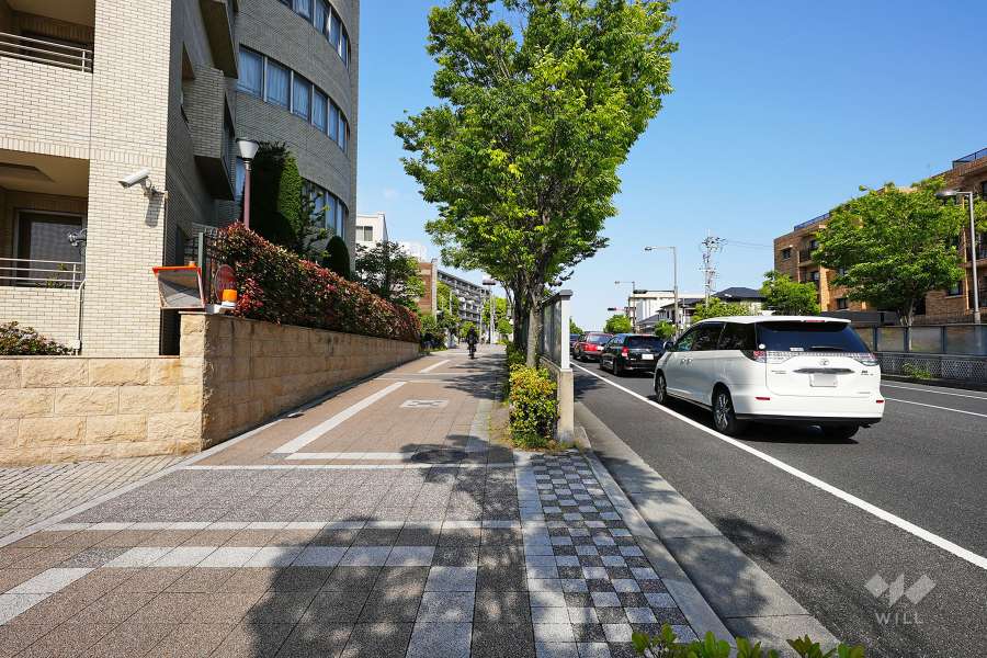 敷地南側の前面道路（西側から）