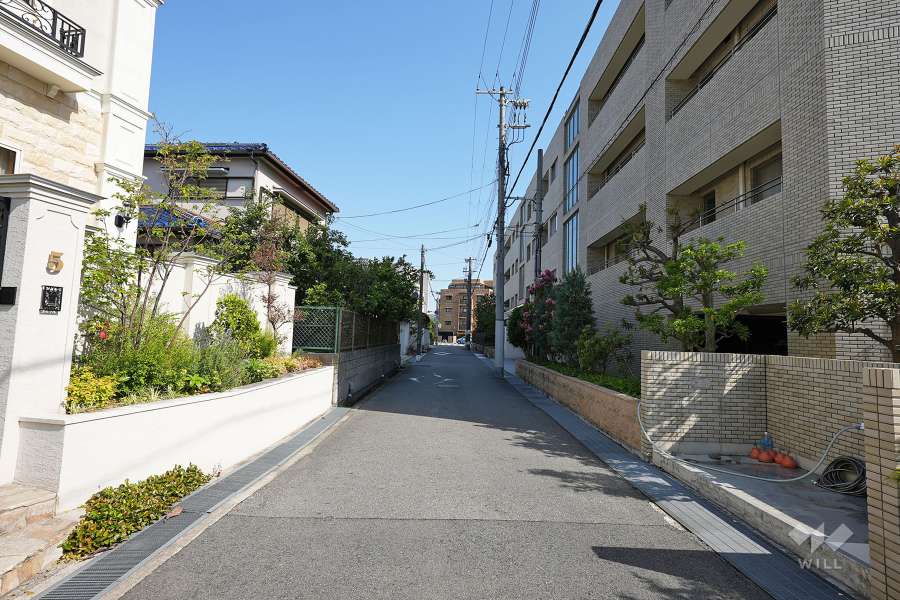 敷地東側の前面道路（北側から）