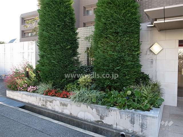 エントランス横の植栽スペース
