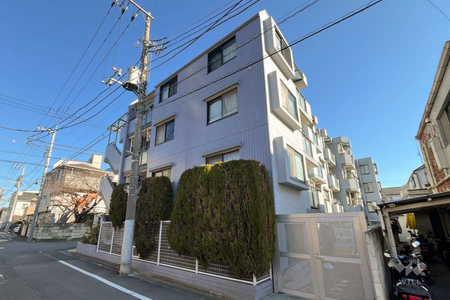 セザール第二鷺宮の外観（南西側から）