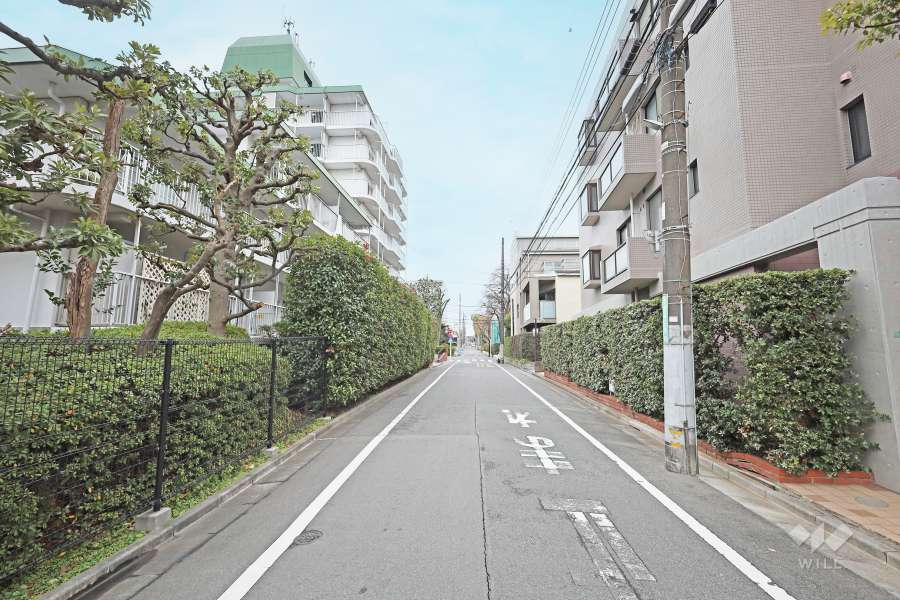 敷地西側の前面道路