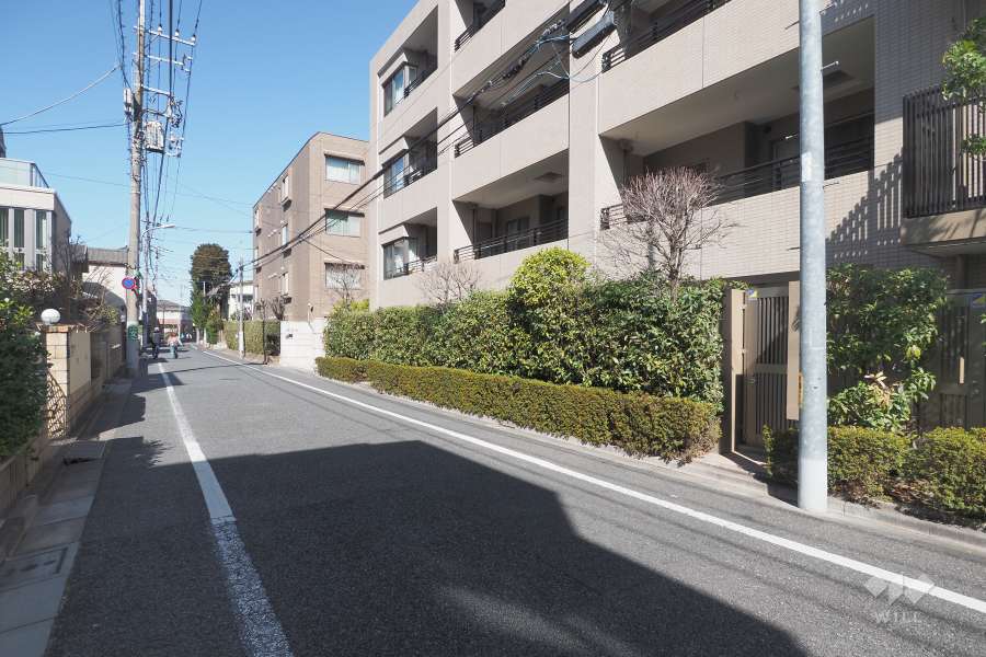 敷地西側の前面道路（南側から）