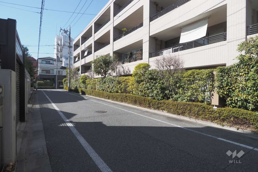 敷地南側の前面道路（東側から）