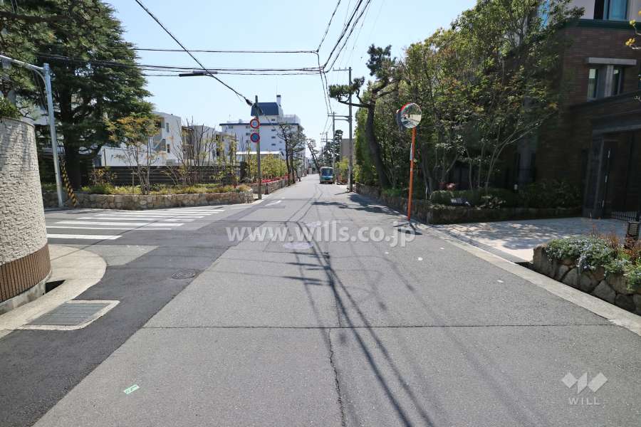 敷地東側の前面道路(北側から)