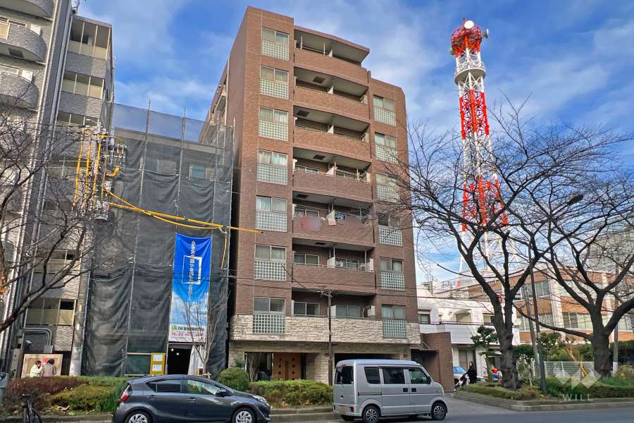 ランドステージ練馬の外観（南西側から）