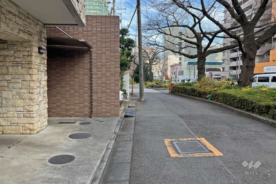 敷地の南側前面道路（西側から）
