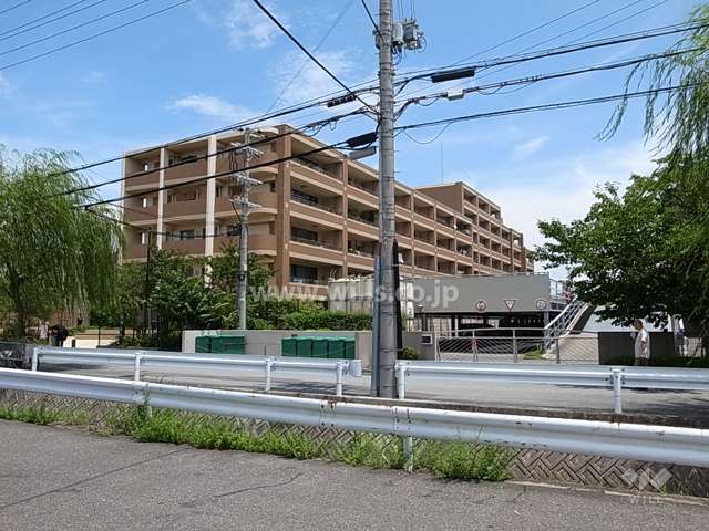 敷地の西側には川が流れ、川沿いの柳がきれいです。