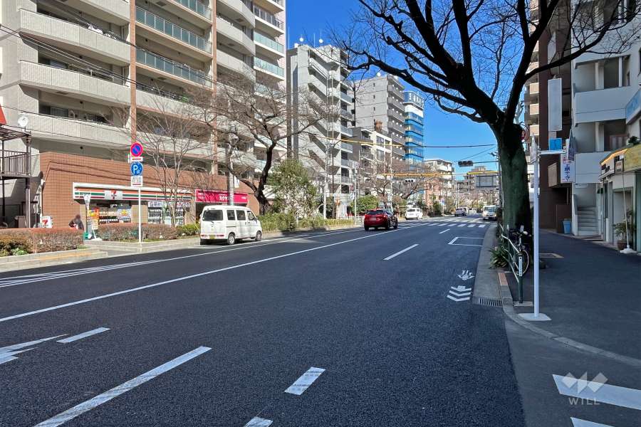 敷地南側の前面道路（西側から）