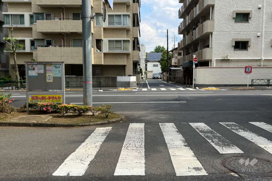 敷地の西側前面道路（北側から）