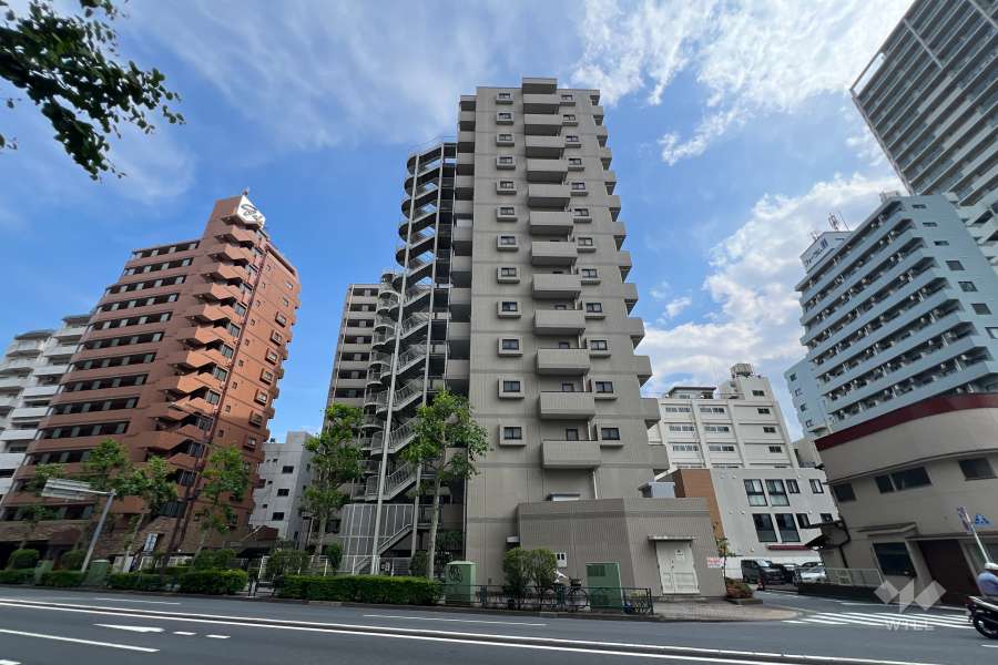 藤和ハイタウン練馬の外観（北側から）