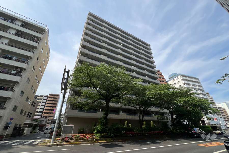 藤和ハイタウン練馬の外観（南西側から）