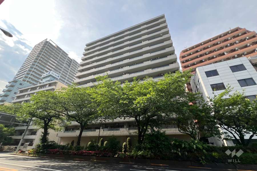 藤和ハイタウン練馬の外観（南東側から）