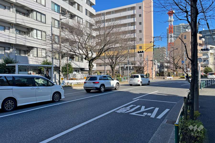 敷地南側の前面道路（西側から）
