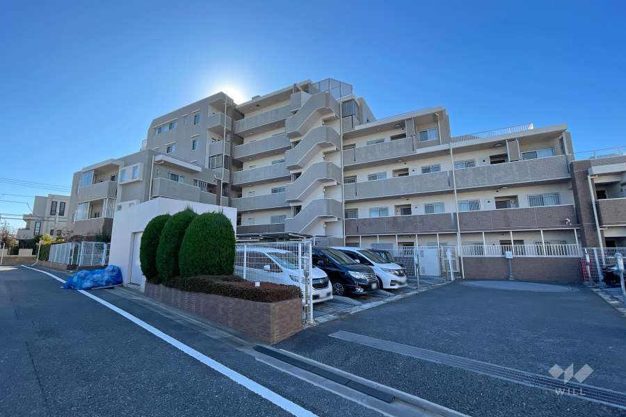 エクセレント光が丘の外観（北東側から）